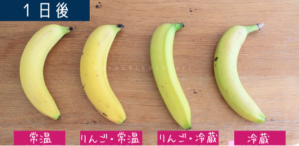 バナナの追熟実験1日目。4本のバナナがある。左から「常温保存」「りんごと一緒に常温保存」「りんごと一緒に冷蔵保存」「冷蔵保存」。常温保存した2本は皮が黄色くなっている。