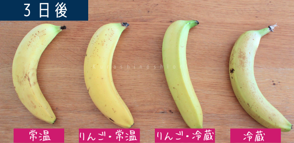 バナナの追熟実験3日目。4本のバナナがある。左から「常温保存」「りんごと一緒に常温保存」「りんごと一緒に冷蔵保存」「冷蔵保存」。常温保存した2本は黒い斑点がみられ始めている。