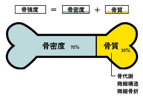 骨強度を説明するイラスト。「骨強度=骨密度+骨質」と書かれている。骨強度は、骨密度70%と骨質30%で決まることが骨のイラストとともに示されている。