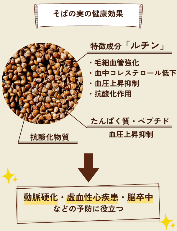 そばの実の健康効果を示した図。そばの実に含まれるルチンには、毛細血管強化作用・血中コレステロール低下作用・抗酸化作用・血圧上昇抑制作用などがあり、動脈硬化などの予防に役立つことを示している。