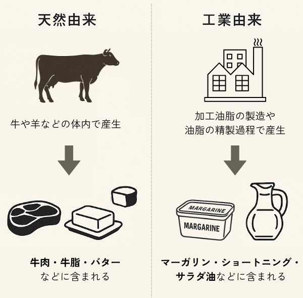 天然由来のトランス脂肪酸と、工業由来のトランス脂肪酸の違いを示した図。天然由来は反芻動物の体内で生成され、牛肉・牛脂・バターなどに含まれること、工業由来のトランス脂肪酸は加工油脂の製造・油脂の精製過程で産生され、マーガリンやショートニング、サラダ油などに含まれる旨が示されている。