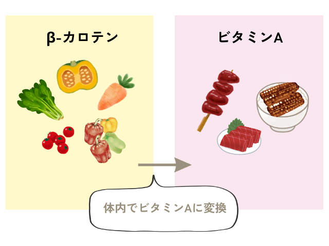 β-カロテンが体内でビタミンAに変換されることを示した図